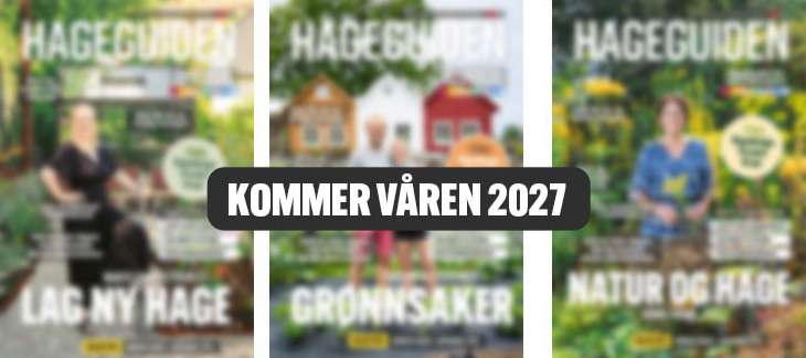nettbutikk_dobbelpakke2027_980_6blader_nwm – Edited